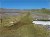 Kraljev hrib - Gradišče (Velika planina)